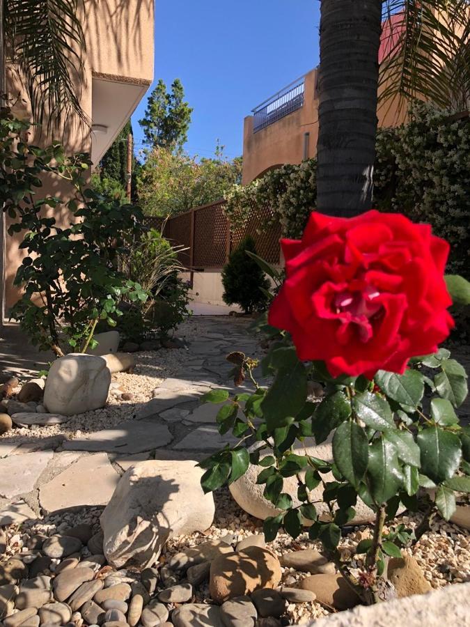 Town House, Ilios Ii, Kato Paphos Villa Exterior photo